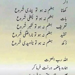 Meet your Posher, Hamid